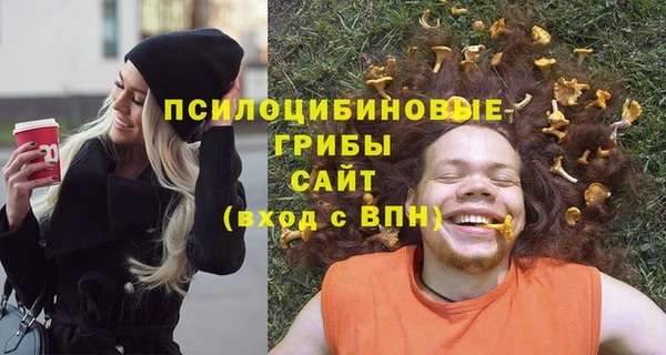 гашик Алзамай